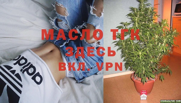 стафф Богданович