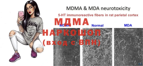 стафф Богданович