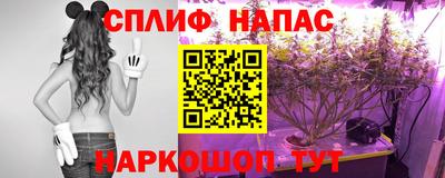 наркотики Брянск