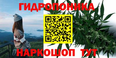 ПСИЛОЦИБИНОВЫЕ ГРИБЫ Балахна