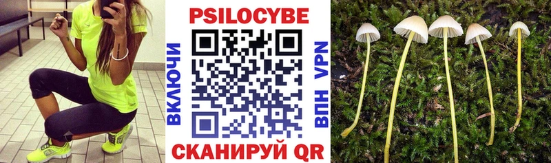 Купить где  Борисоглебск  Псилоцибиновые грибы GOLDEN TEACHER 