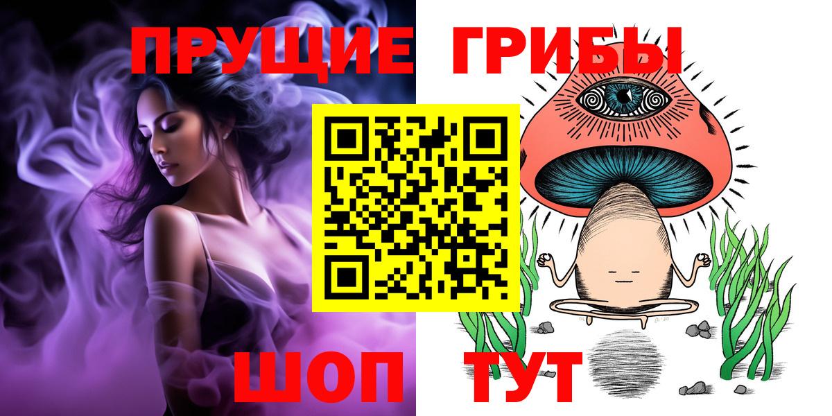 Псилоцибиновые грибы Psilocybe Борисоглебск